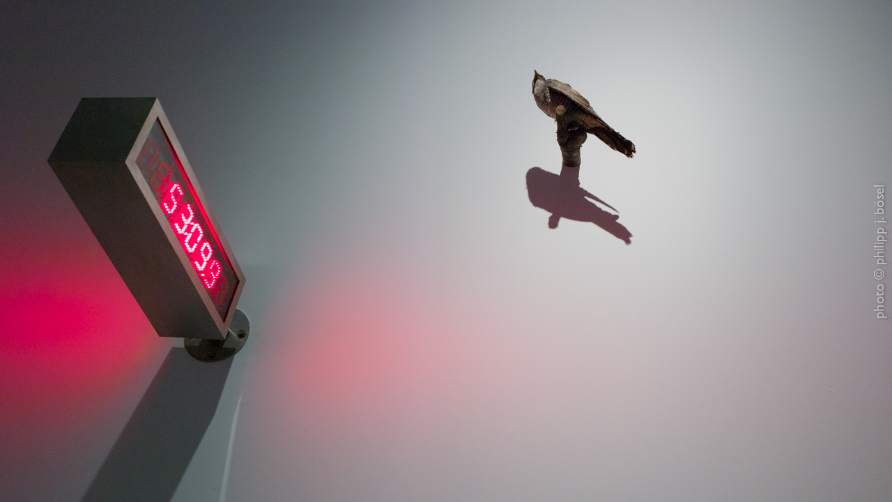 photo © philipp j. bösel