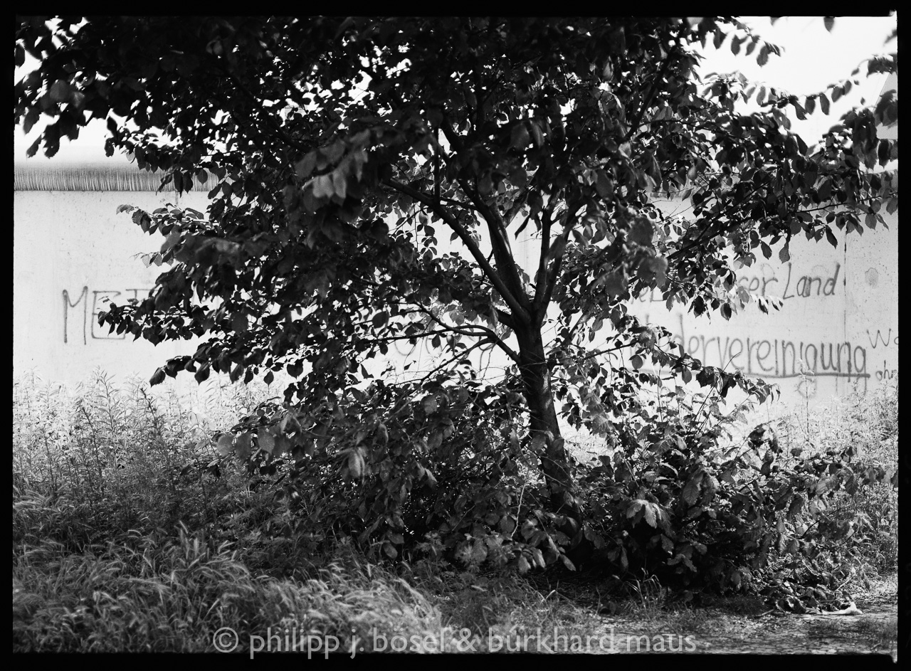 photo © philipp j. bösel