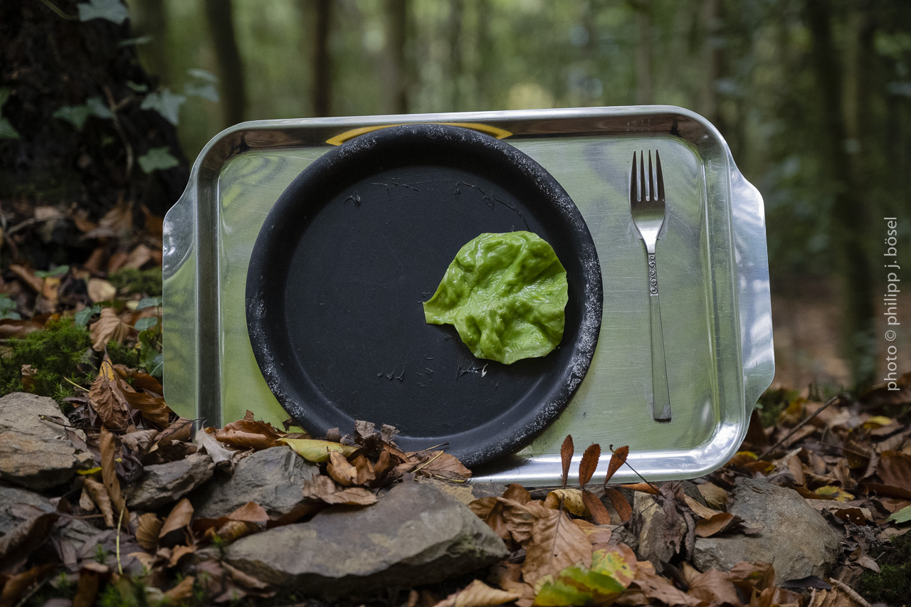 photo © philipp j. bösel