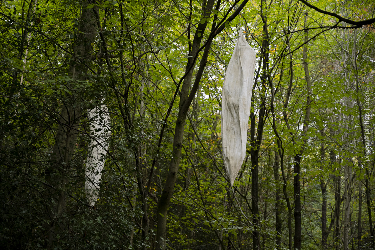 photo © philipp j. bösel