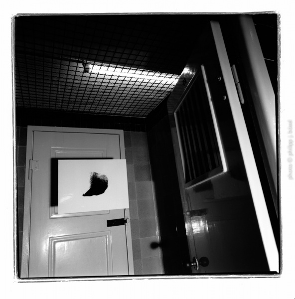 photo © philipp j. bösel