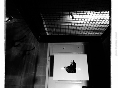 photo © philipp j. bösel