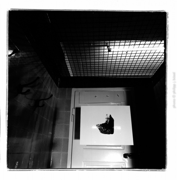photo © philipp j. bösel