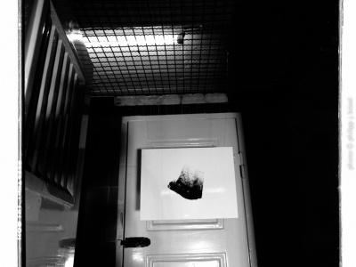 photo © philipp j. bösel