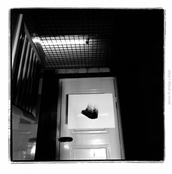 photo © philipp j. bösel