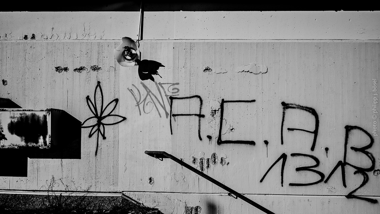 photo © philipp j. bösel