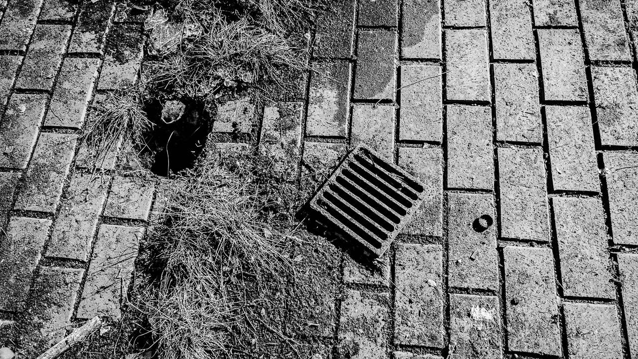photo © philipp j. bösel