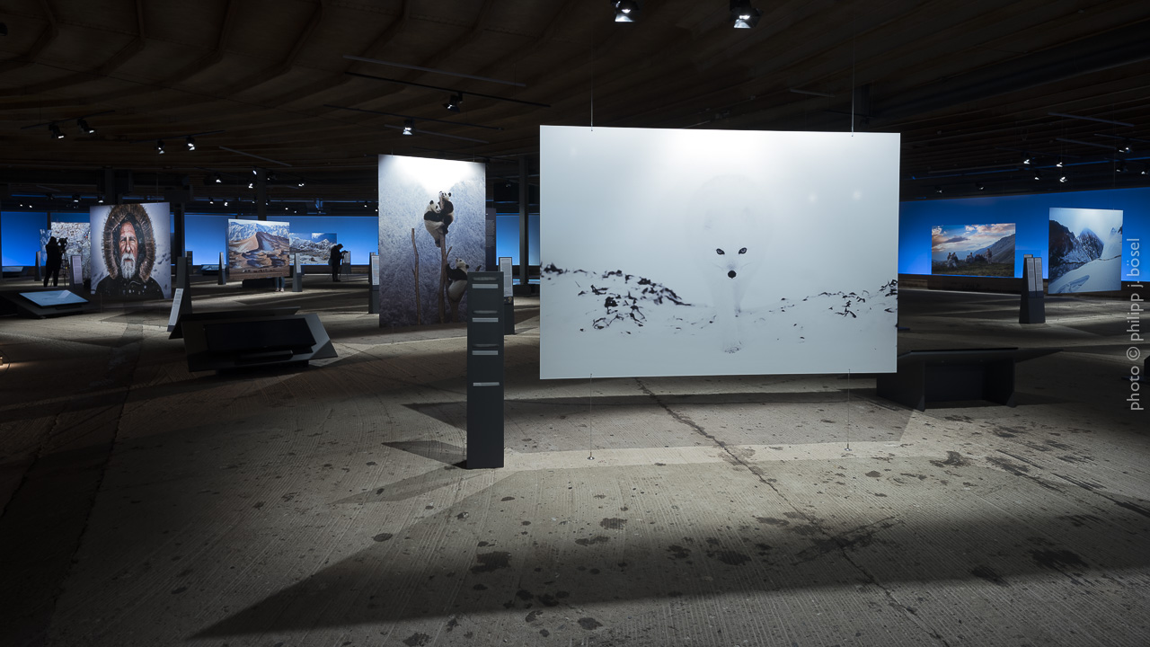 photo © philipp j. bösel