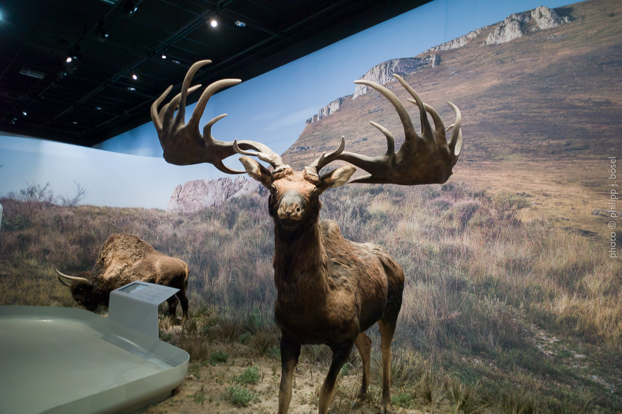 photo © philipp j. bösel