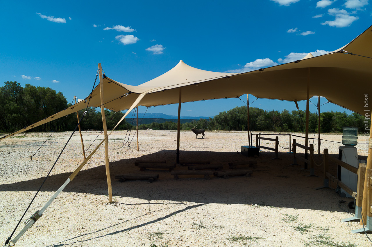 photo © philipp j. bösel