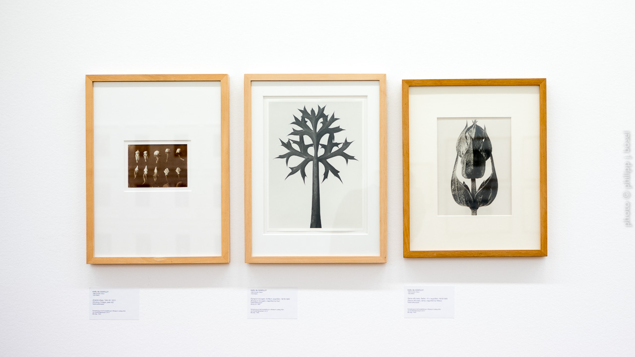 photo © philipp j. bösel