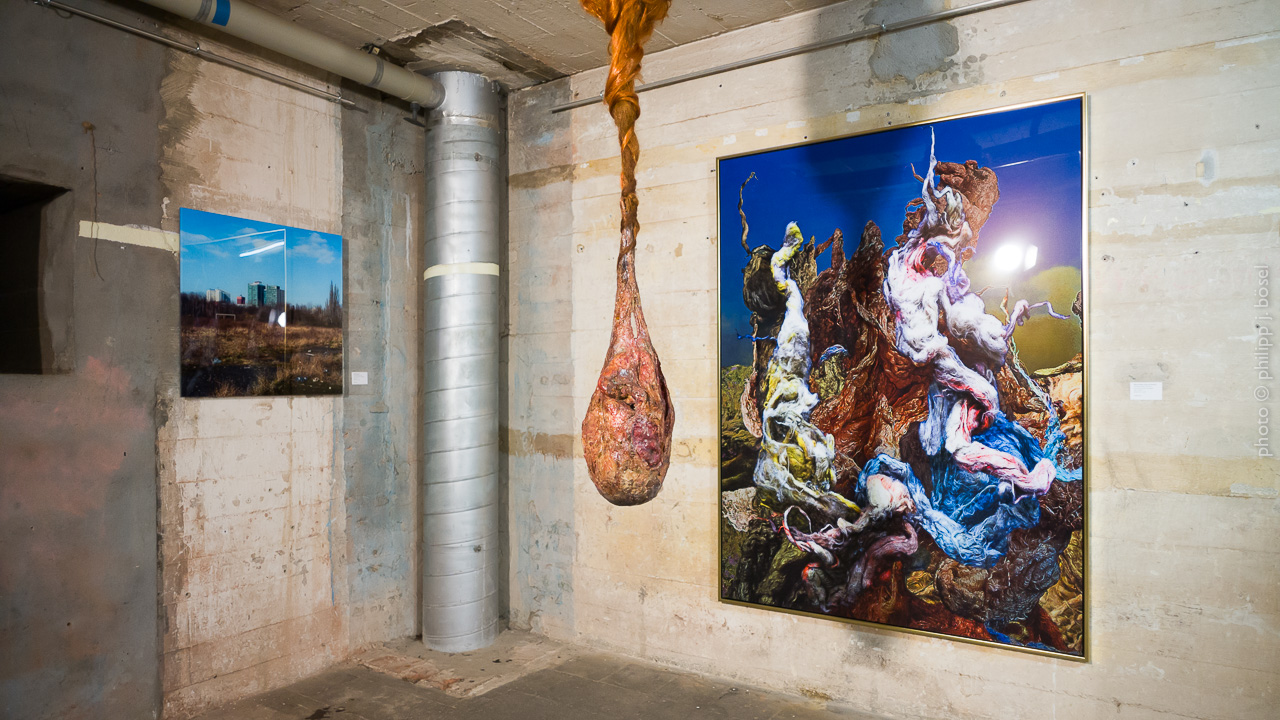 photo © philipp j. bösel