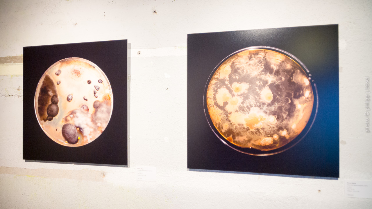 photo © philipp j. bösel