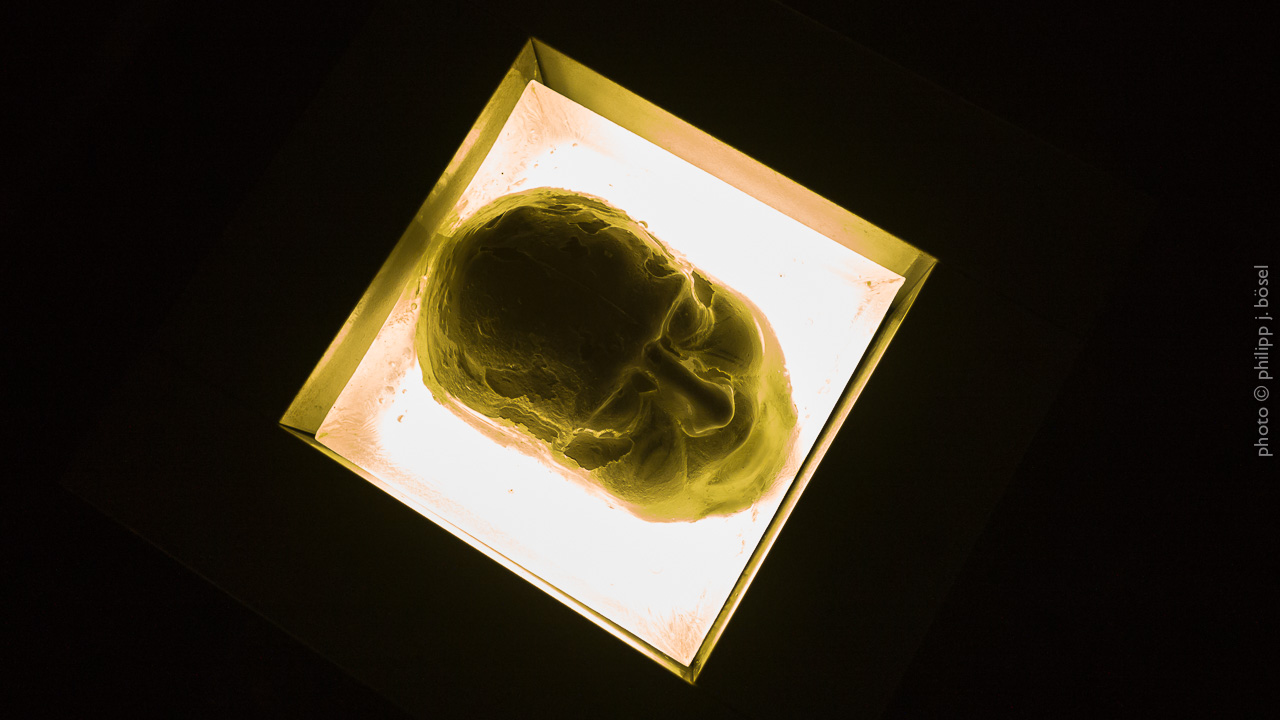 photo © philipp j. bösel