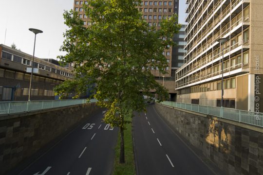 photo © philipp j. bösel